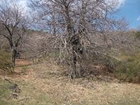 anobello-04032012 180